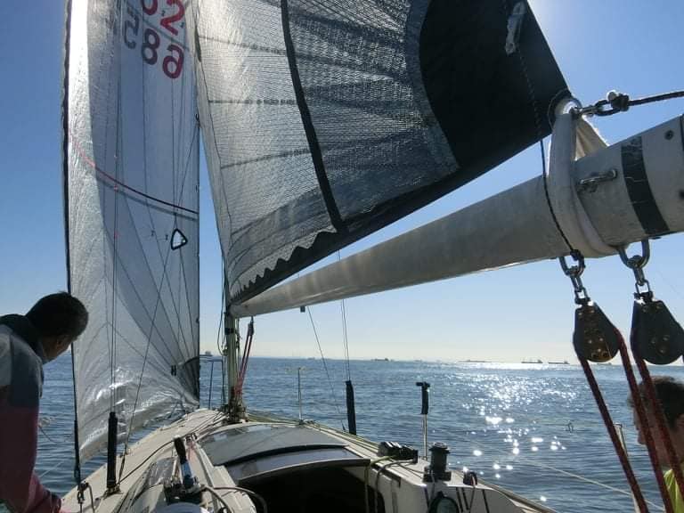 Yamaha 28S Hyde Sails 活躍中!