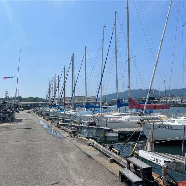 暑い日でもスキャニング頑張ってます!!