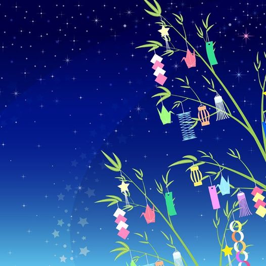 今日は七夕ですね。