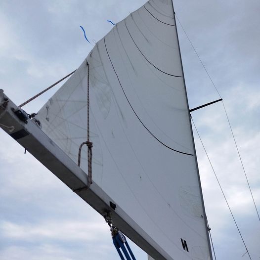 HYDESAILS メインセールのレビューをいただきました。