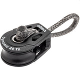 Allen A2020Tii-Shackle (A2020Tii-Shackle)