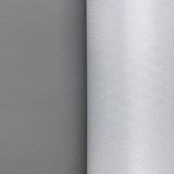 2020 X-Pac VX21 1500mm