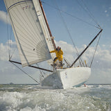 Ocean gallery